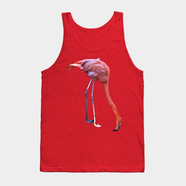 Pink Flamingo Mirage Tank Top by RoxanneG